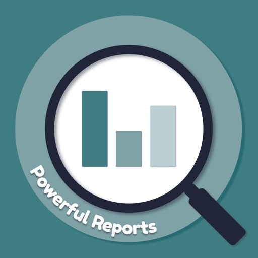 Powerful Reports